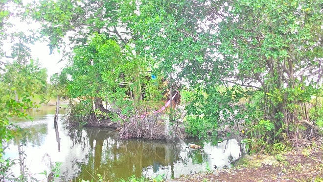 Chồng chiếm dụng tiền tỷ, vợ bất lực ôm hai con tự vẫn