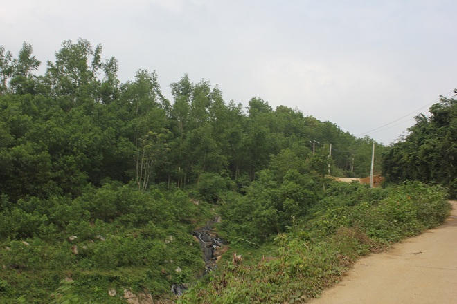 Những câu chuyện huyễn hoặc về ngôi miếu thiêng