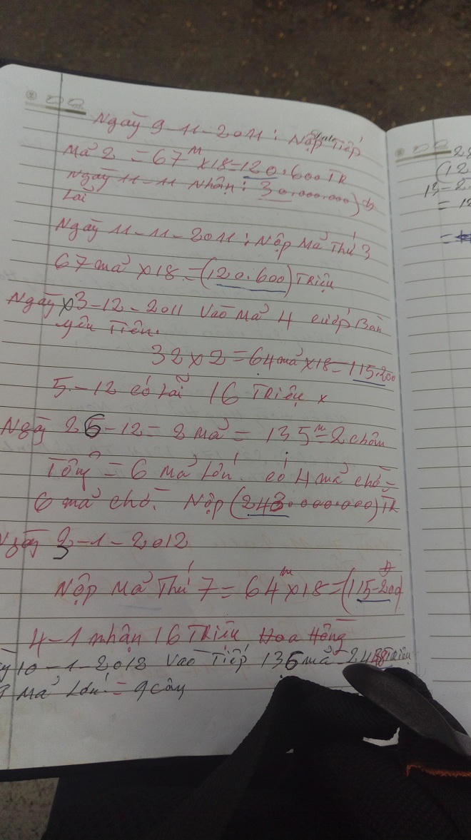 100 nạn nhân ngậm ngùi đến dự phiên xử đa cấp lừa đảo