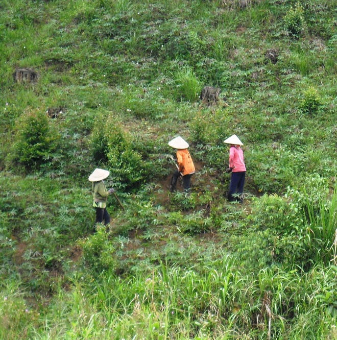 Cảm cảnh những phận nữ đơn thân bị “sở khanh” hại đời