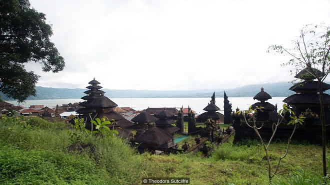 Bí ẩn “cây thần” khử...mùi thối xác người.