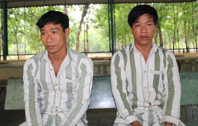 Hai anh em ruột rủ nhau đi cướp vàng nhà cậu ruột