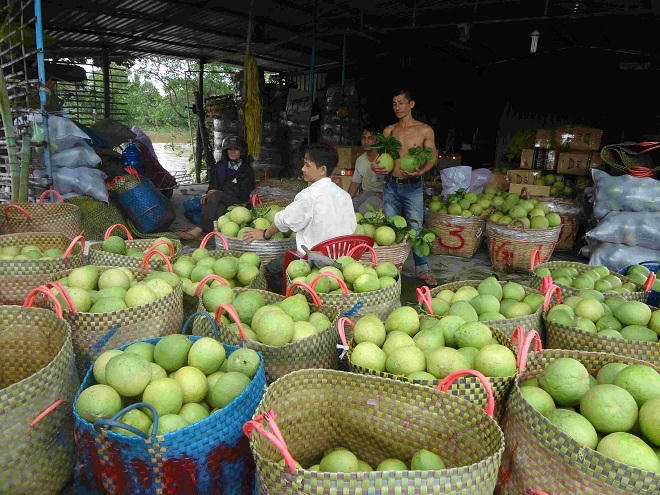 Đồng bằng sông Cửu Long: Biến đổi khí hậu “đè nặng” lên kinh tế vùng