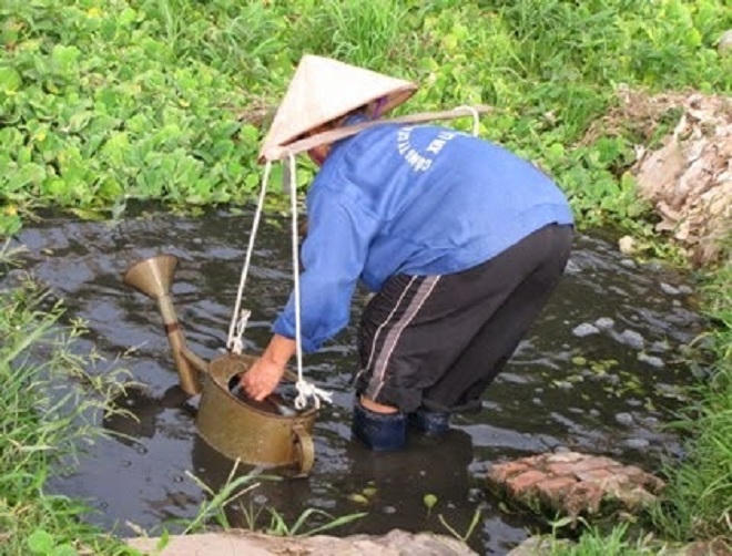 Nông sản bẩn đang tàn phá thương hiệu quốc gia