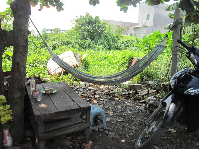 Người đàn ông tử nạn vì tiếc 1 bông súng trôi theo dòng nước 