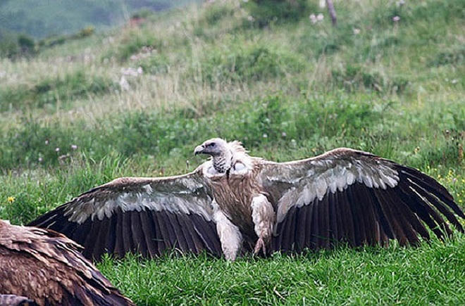 Những hình thức an táng kỳ lạ và quan niệm người chết nhưng linh hồn mãi còn