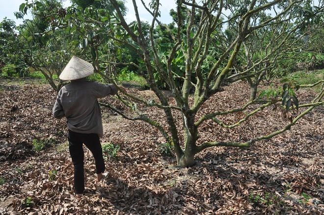 Những ẩn số 'ma quỷ' chỉ đường tới kho báu ở đồi Lim