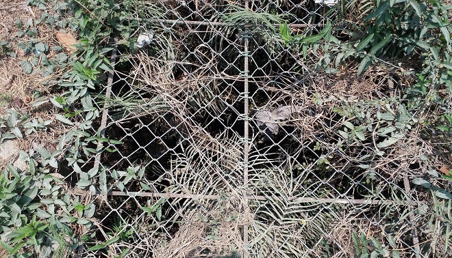 Giếng 'se duyên' phù hộ cho người không may bị tai nạn