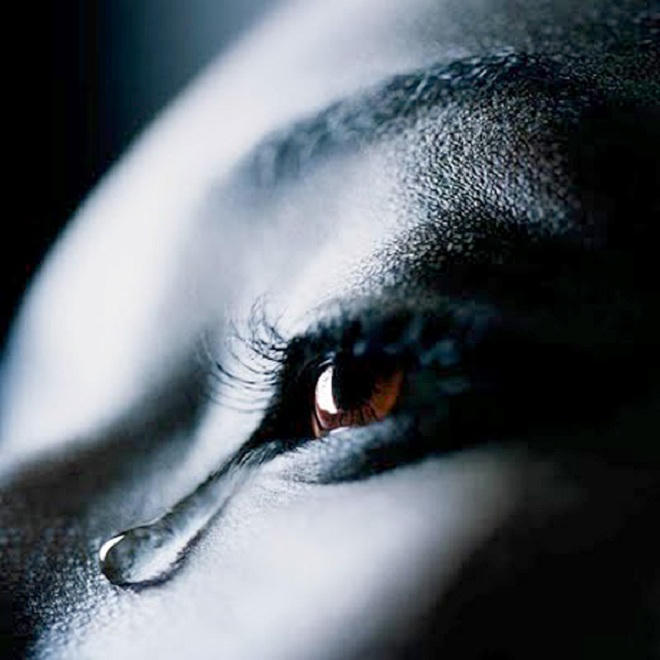 Phật dạy cách tìm vui trong 'bể khổ'