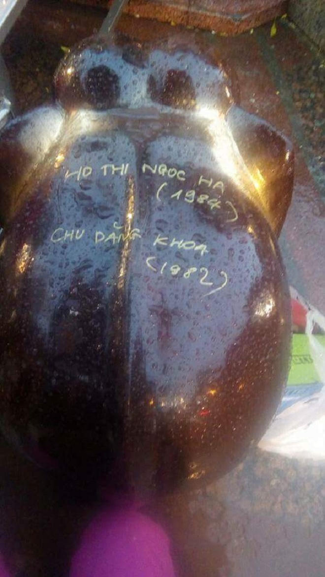 Chu Đăng Khoa cầu hôn Hồ Ngọc Hà?