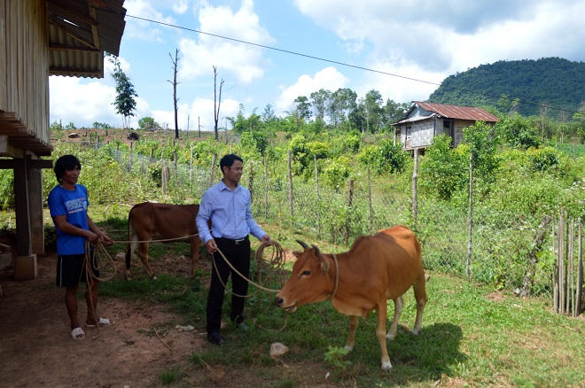 “Ngọn đuốc sáng” xóa nghèo, đuổi hủ tục trên dãy A Ngo
