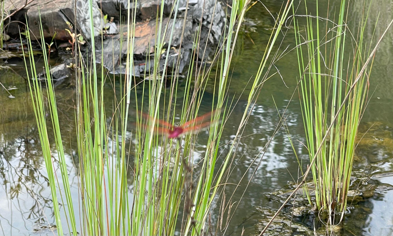 Hồ trên đá - tuyệt cảnh được tạo ra từ thủy điện Trị An