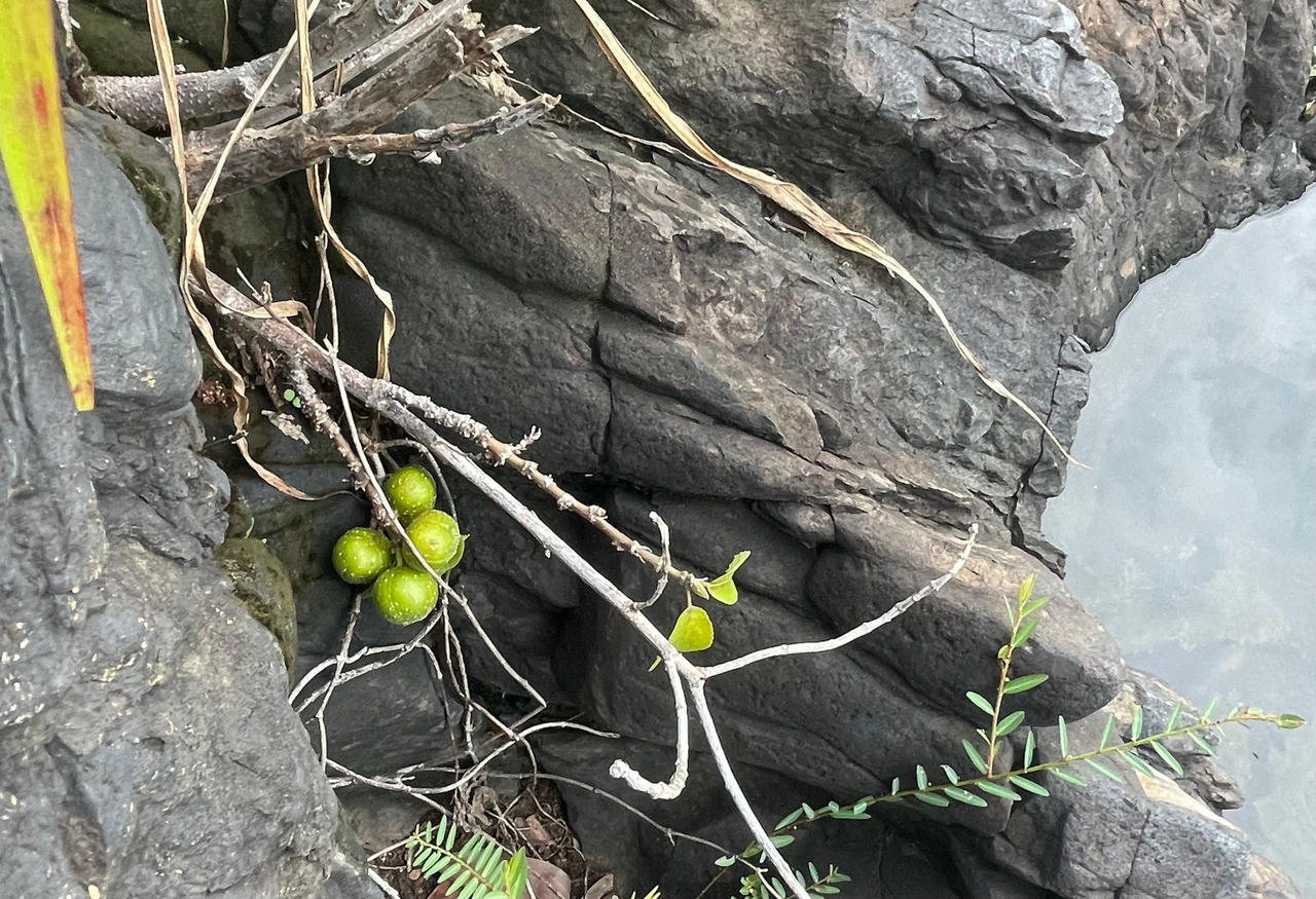 Hồ trên đá - tuyệt cảnh được tạo ra từ thủy điện Trị An