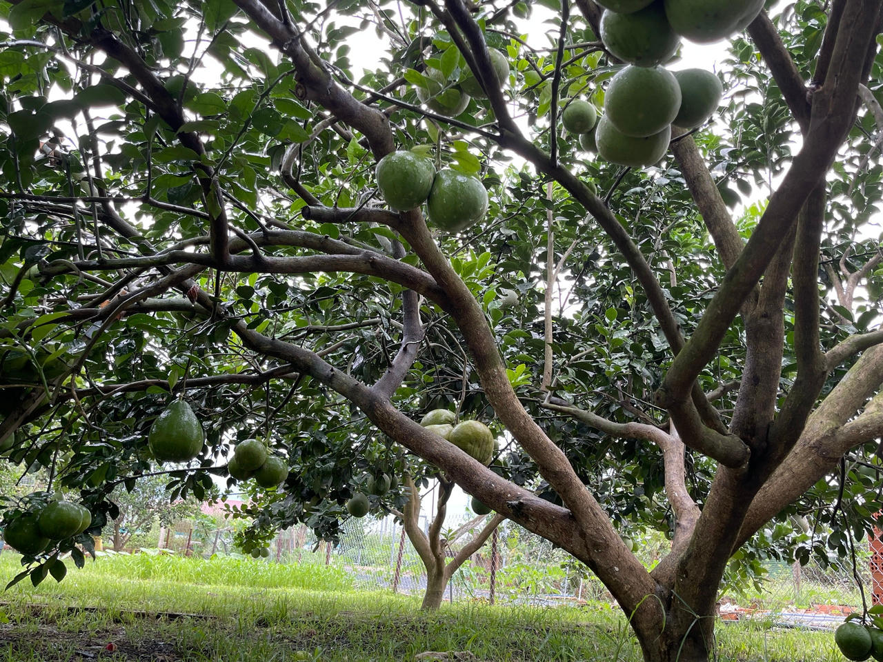 Những không gian ý nghĩa mùa dịch