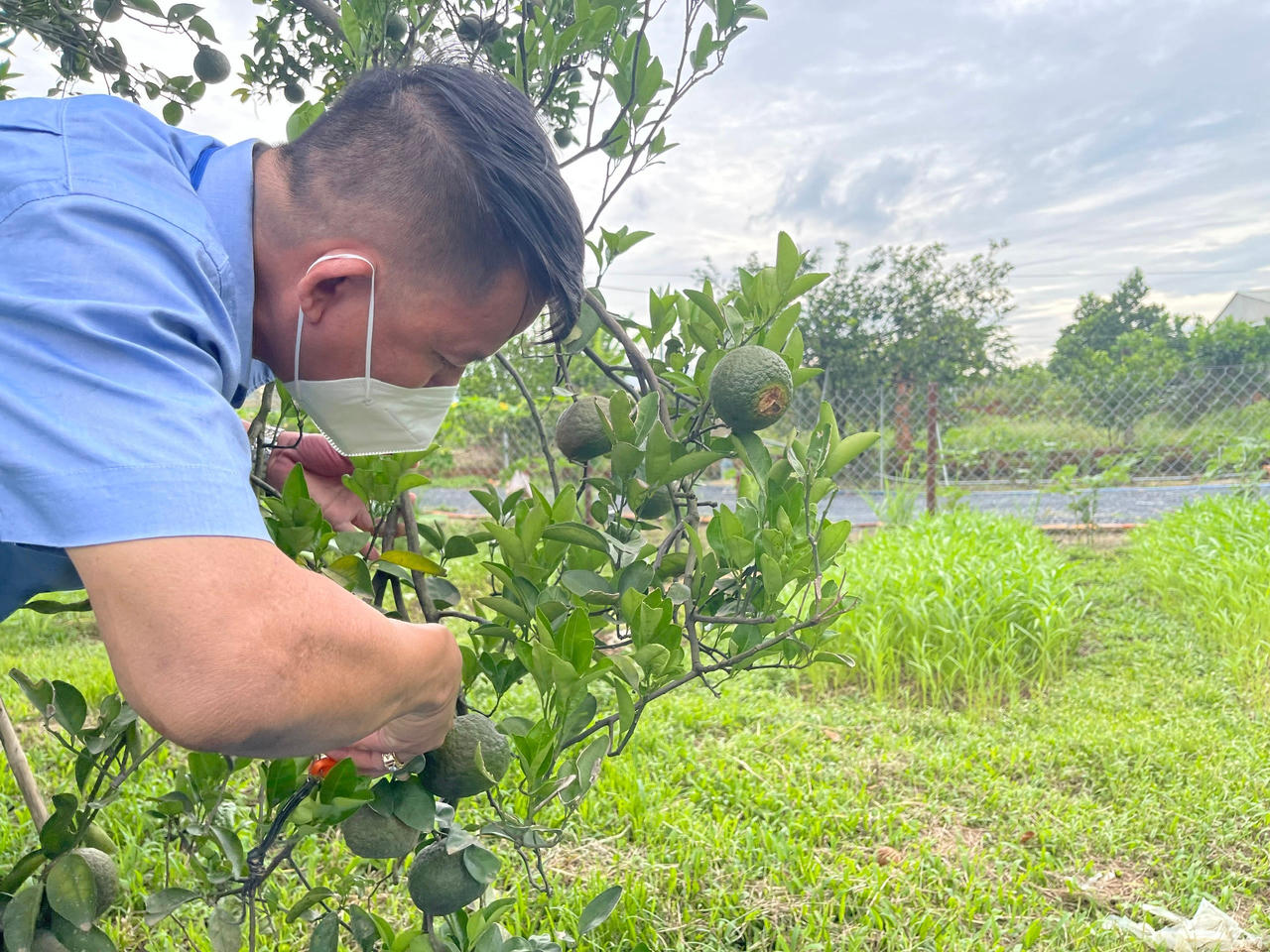 Những không gian ý nghĩa mùa dịch