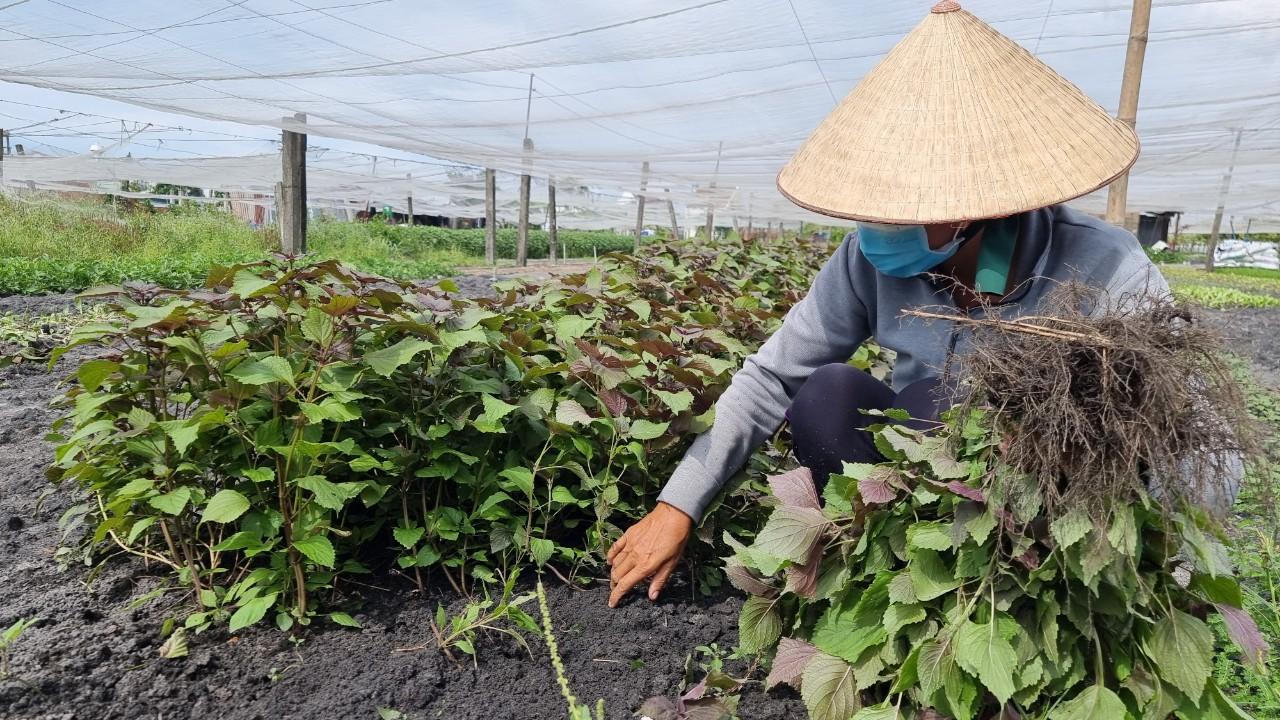 Những không gian ý nghĩa mùa dịch