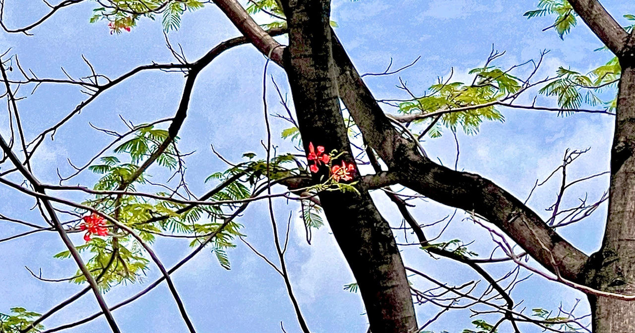 Có một mùa tựu trường vắng lặng