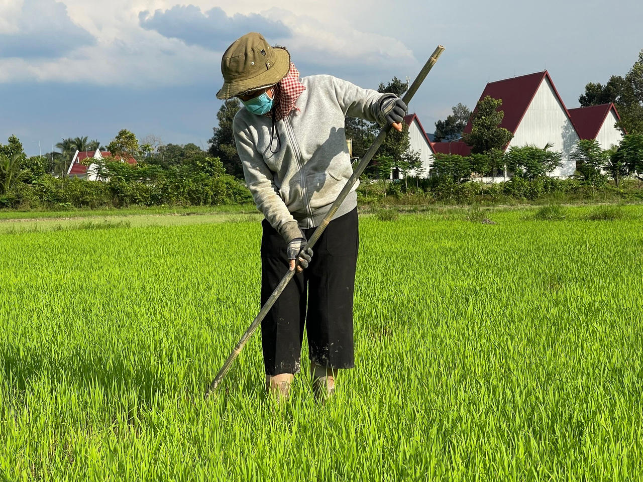 Tà Lài, nơi bình yên tìm về