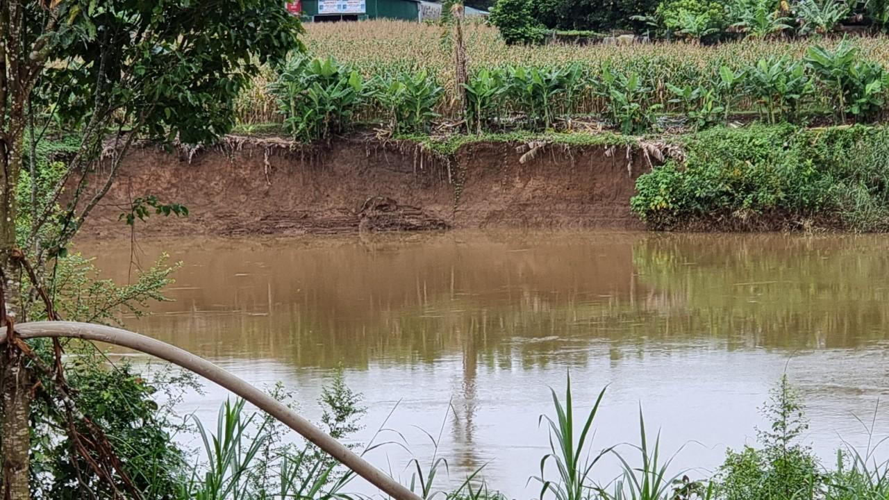 Hơn 50 tàu vỏ thép thi nhau hút cát, xé toạc sông Đồng Nai
