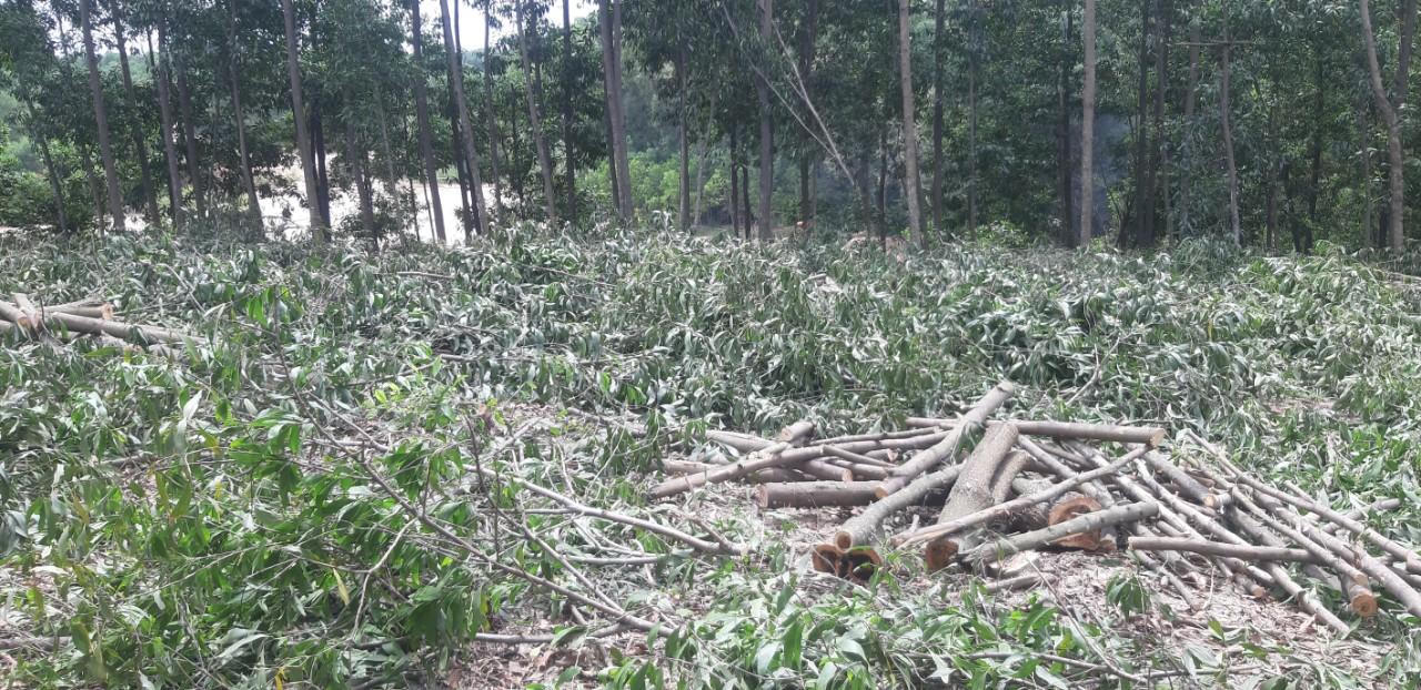 Đồng Nai: Mượn danh nghĩa xây thao trường Trường Sỹ quan Lục quân 2 để khai thác cát lậu? 