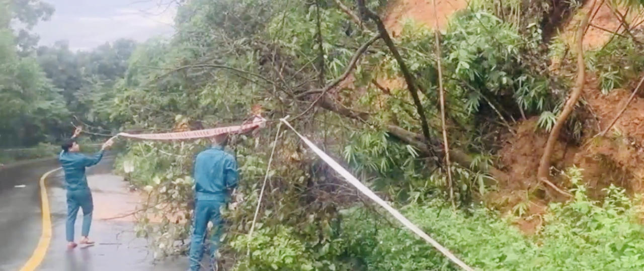 Sạt lở tại tuyến đường nối Bình Phước và Lâm Đồng