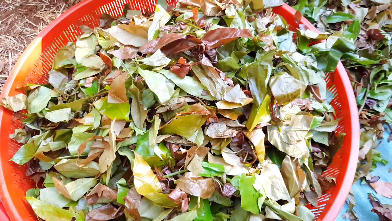 Canh thụt - món ẩm thực độc đáo của đồng bào dân tộc thiểu số tỉnh Bình Phước