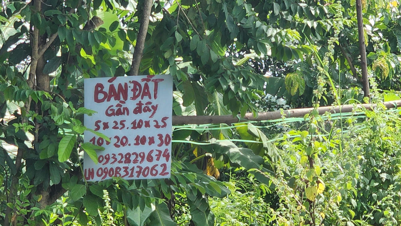 'Xẻ thịt' hồ chứa nước Sông Mây