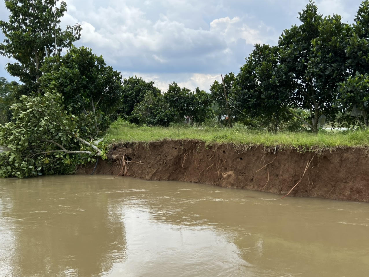 Thấp thỏm sống bên miệng 'hà bá' sông La Ngà