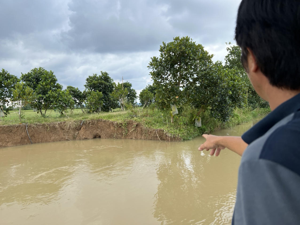 Thấp thỏm sống bên miệng 'hà bá' sông La Ngà
