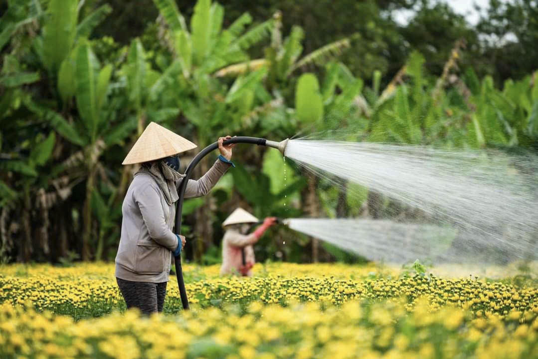 Phát động cuộc thi ảnh “Thống Nhất - Tình đất, tình người”