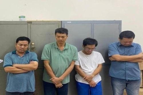 Đồng Nai: Khởi tố 4 đối tượng khai thác đất trái phép