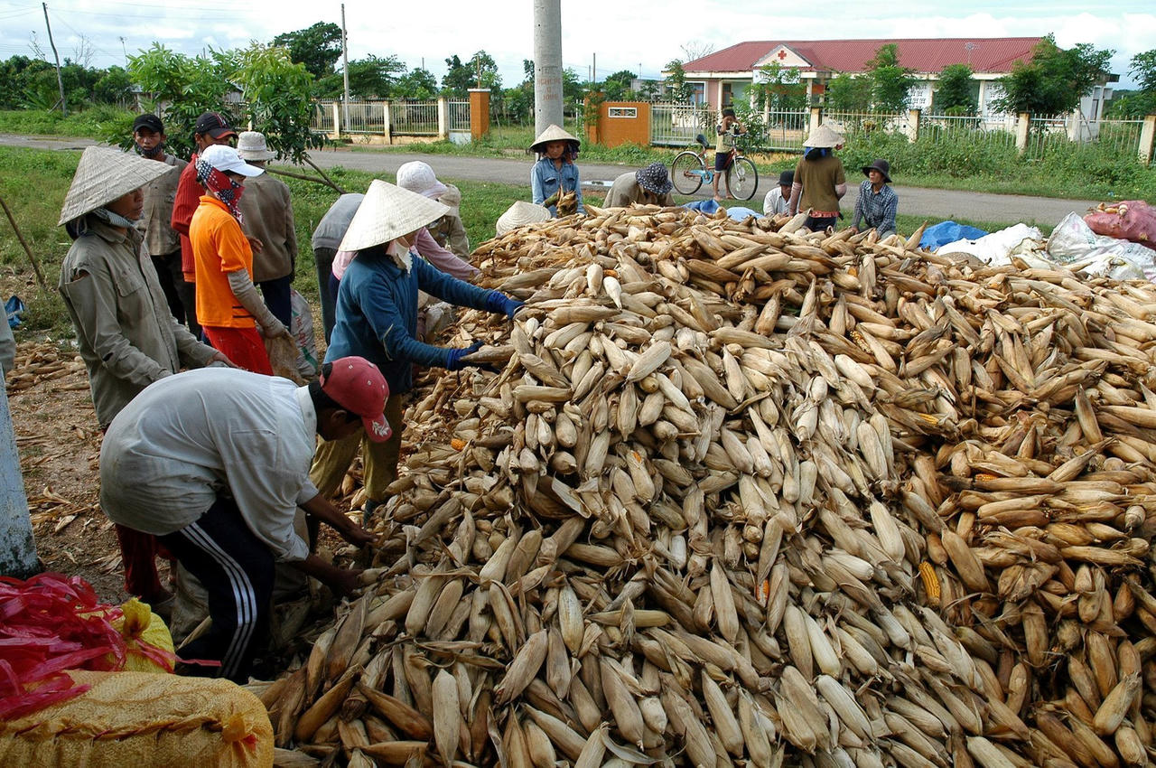 Bình Thuận thực hiện nhiều chính sách cho đồng bào dân tộc thiểu số