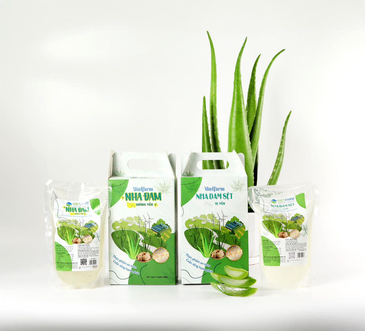 GC Food Group - Nâng tầm vị thế nha đam Việt trên bản đồ thế giới