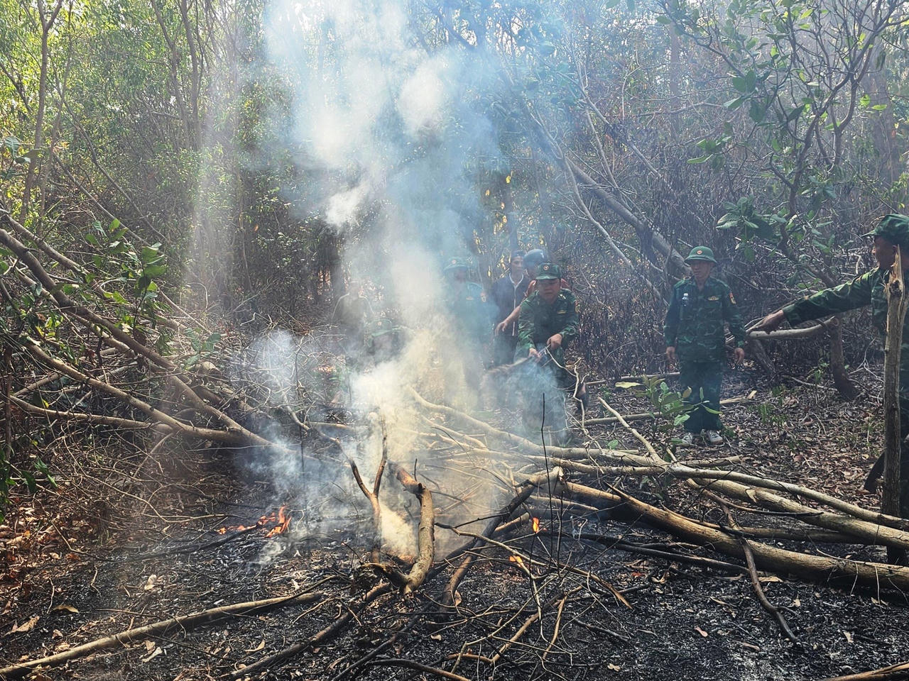 Kịp thời dập tắt vụ cháy rừng ở Bà Rịa – Vũng Tàu