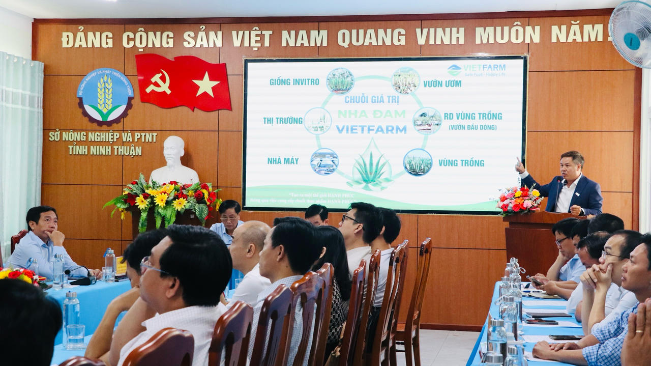 Nhà sản xuất nha đam, thạch dừa hàng đầu Việt Nam công bố lợi nhuận kỷ lục trong quý đầu năm