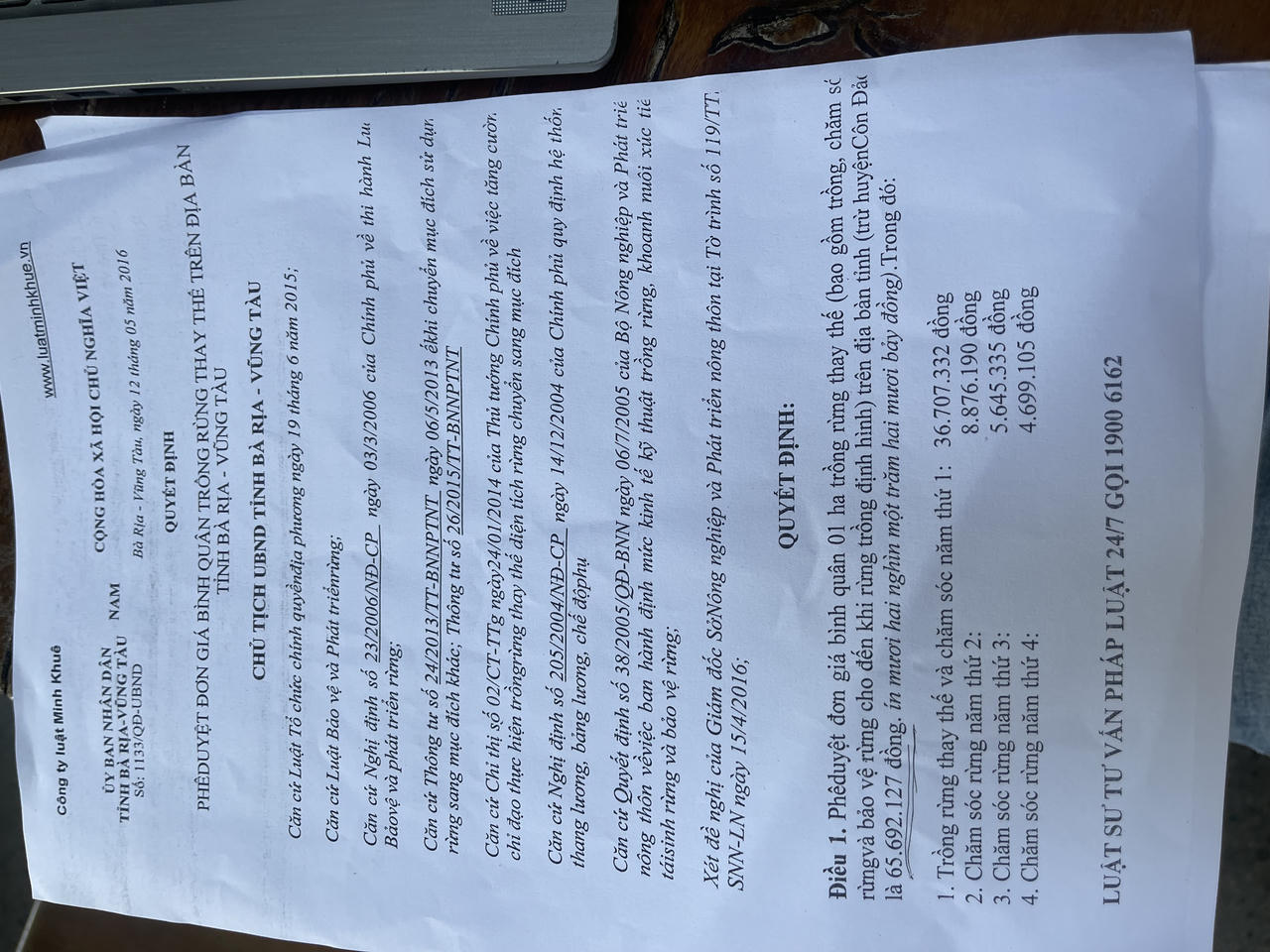 Băn khoăn vì đơn giá trồng rừng thay thế tại Bà Rịa - Vũng Tàu tăng đột biến