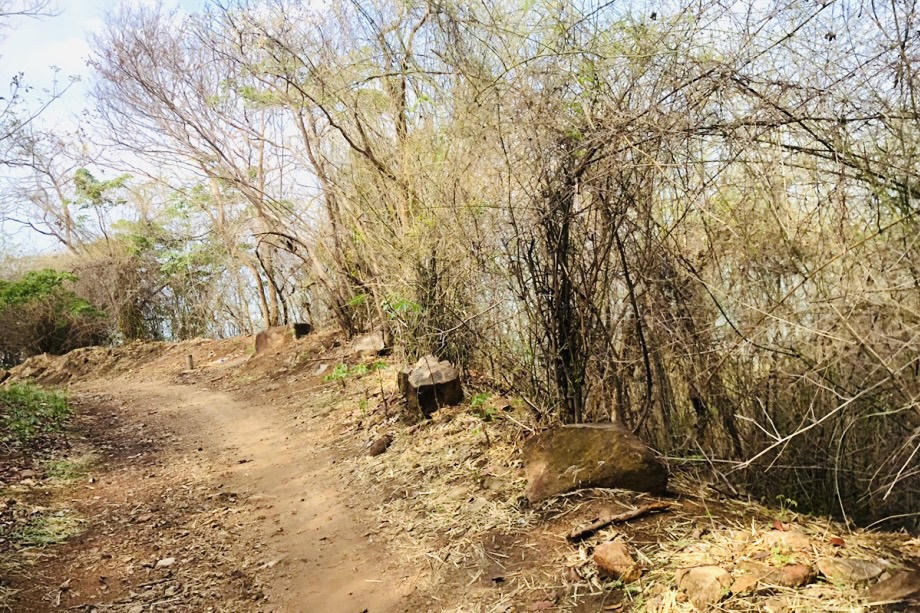 Bắt giữ 2 nghi phạm nhét thi thể vào vali phi tang trên núi ở Vũng Tàu