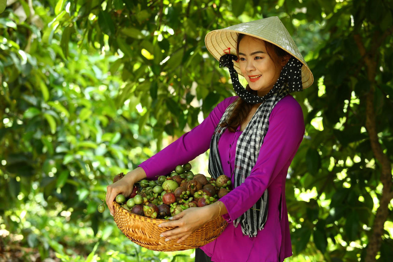 Sắp diễn ra lễ hội Lái Thiêu mùa trái chín 2024