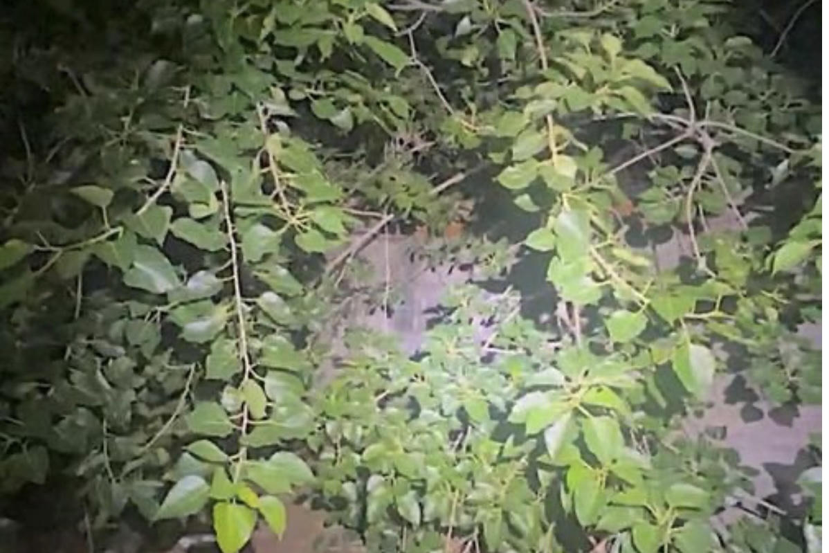 Nam nhân viên đoàn lô tô tử vong trong tư thế treo cổ