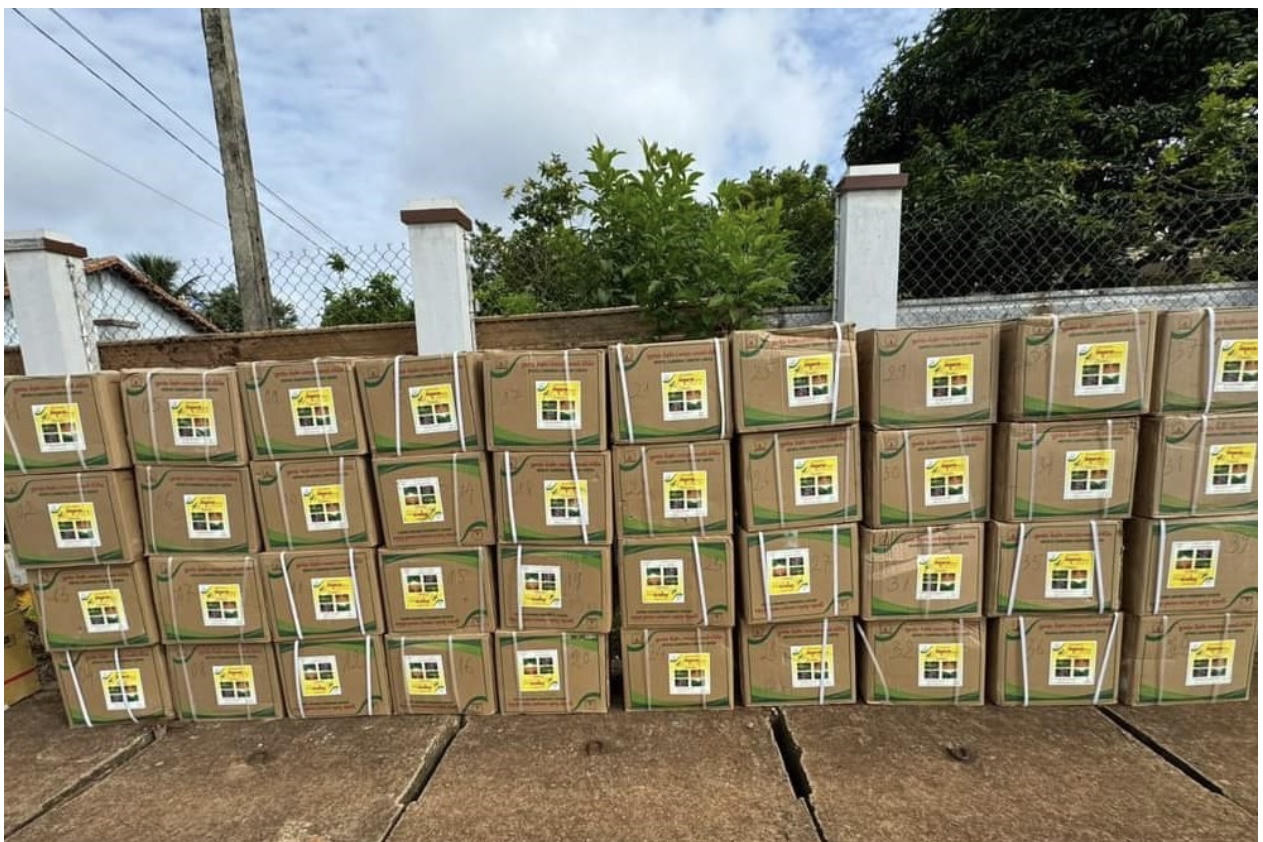 Phát hiện xe tải vận chuyển 110 thùng thuốc bảo vệ thực vật không rõ nguồn gốc