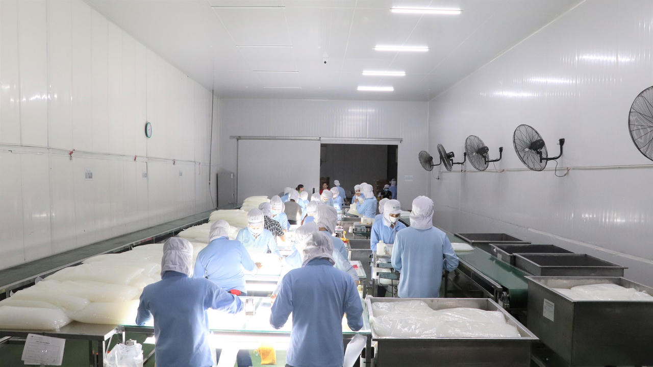 Vinacoco - Nhà máy sản xuất thạch dừa lớn nhất Việt Nam