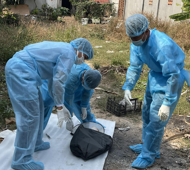 Bệnh dại diễn biến phức tạp ở các tỉnh Đông Nam bộ 