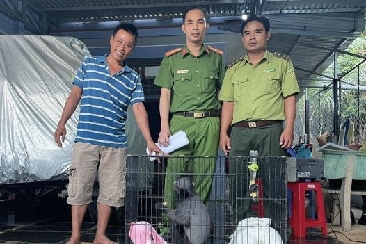 Một người dân giao nộp động vật quý hiếm