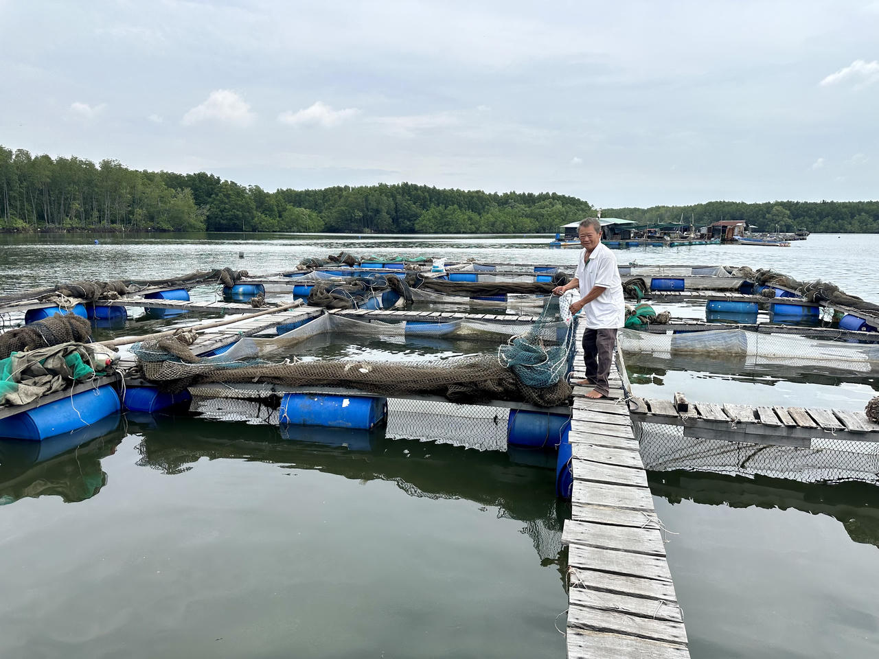 Người làng bè trên sông Thị Vải 'khóc' vì cá chết hàng loạt 