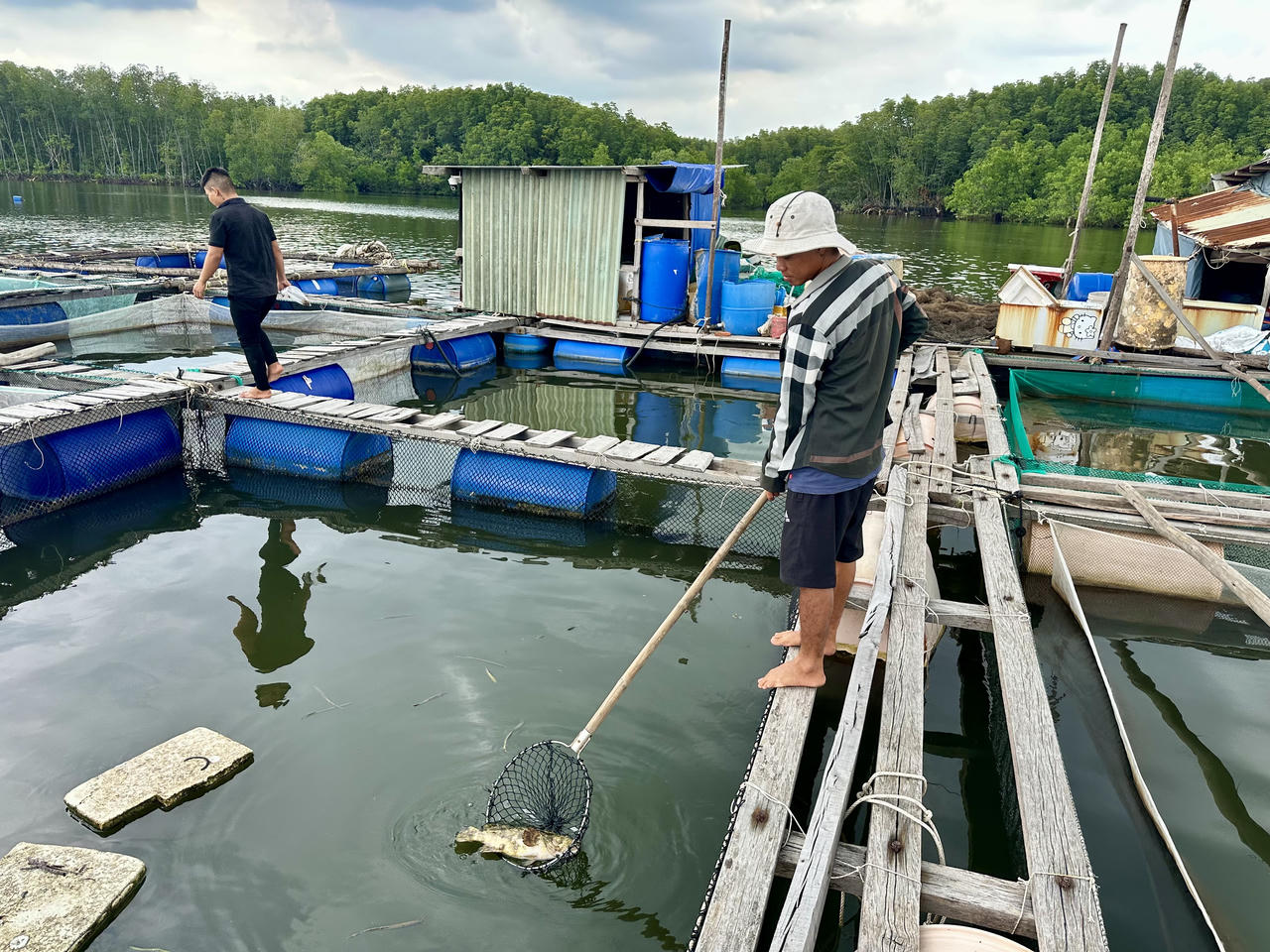 Người làng bè trên sông Thị Vải 'khóc' vì cá chết hàng loạt 