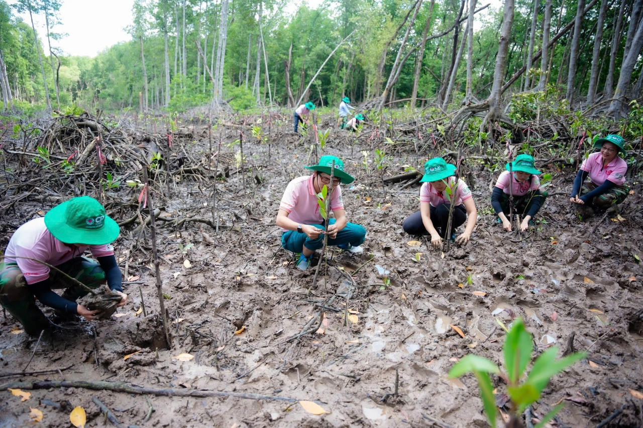 C.P. Việt Nam tiếp tục trồng rừng bền vững tại Đồng Nai