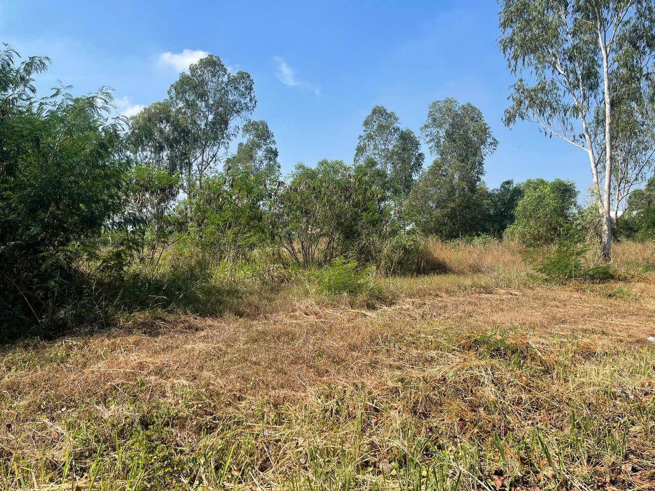 Yêu cầu kiểm tra hồ sơ pháp lý 2 dự án của Công ty Cổ phần Đô thị Amata Biên Hòa