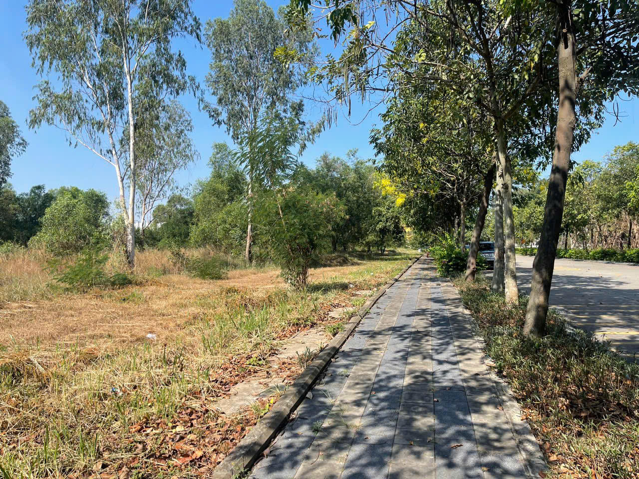 Yêu cầu kiểm tra hồ sơ pháp lý 2 dự án của Công ty Cổ phần Đô thị Amata Biên Hòa