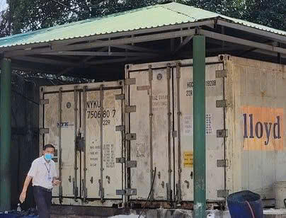 Đồng Nai tổ chức họp liên ngành để xử lý 20 cá thể hổ Bengal và 1 cá thể báo đã chết