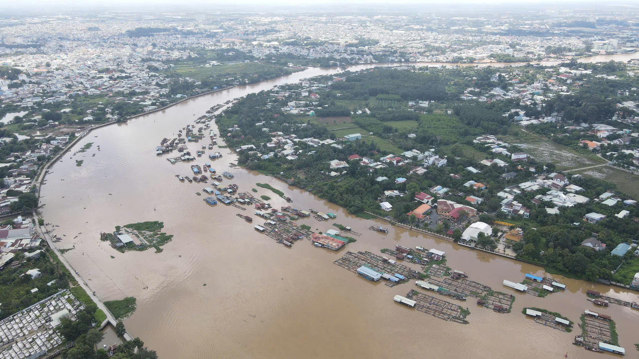 Nghề săn lộc trời trên sông Đồng Nai